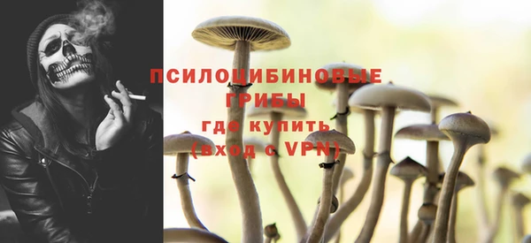 PSILOCYBIN Абаза